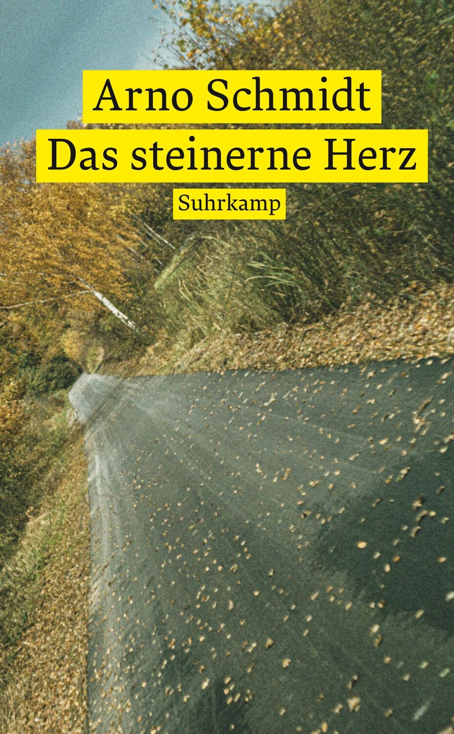 Cover: 9783518473801 | Das steinerne Herz | Arno Schmidt | Taschenbuch | 210 S. | Deutsch