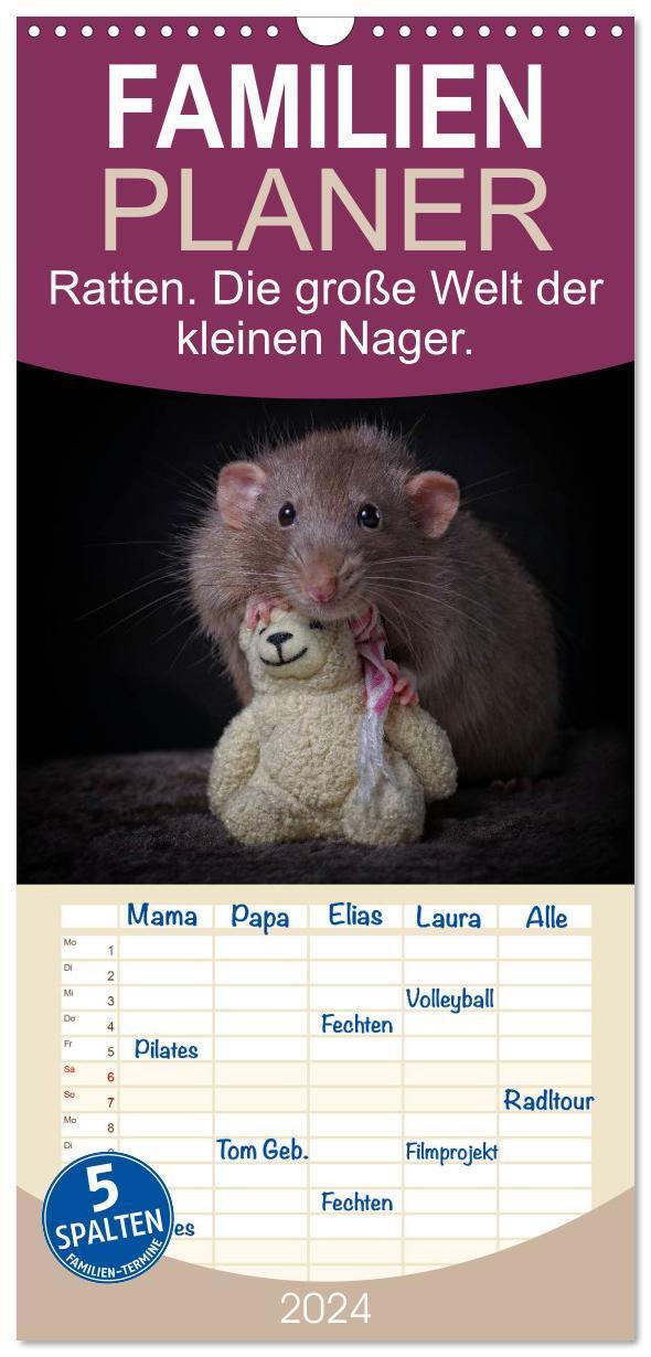 Cover: 9783383078644 | Familienplaner 2024 - Ratten. Die große Welt der kleinen Nager mit...
