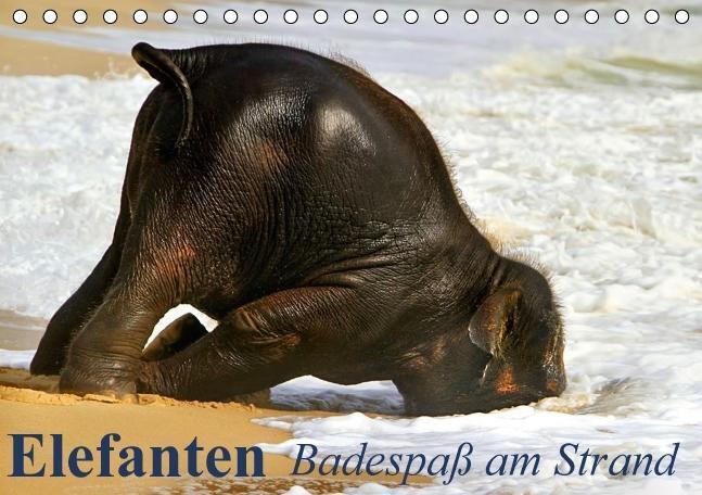Cover: 9783664039241 | Elefanten - Badespaß am Strand (Tischkalender immerwährend DIN A5...