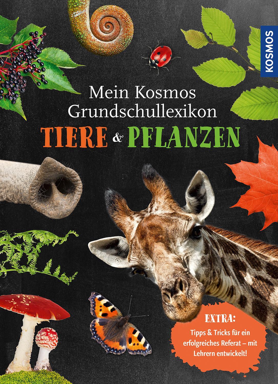 Cover: 9783440168264 | Mein Kosmos Grundschullexikon Tiere & Pflanzen | Ilka Sokolowski