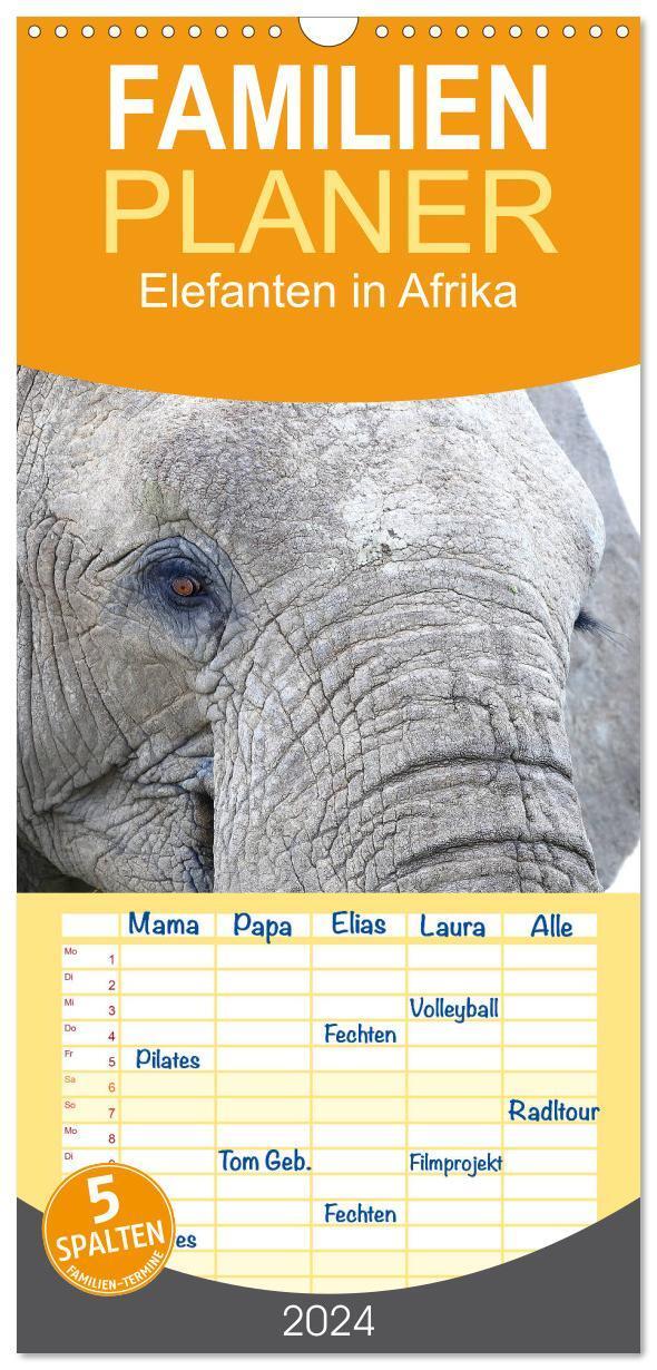 Cover: 9783383084270 | Familienplaner 2024 - Elefanten in Afrika mit 5 Spalten...