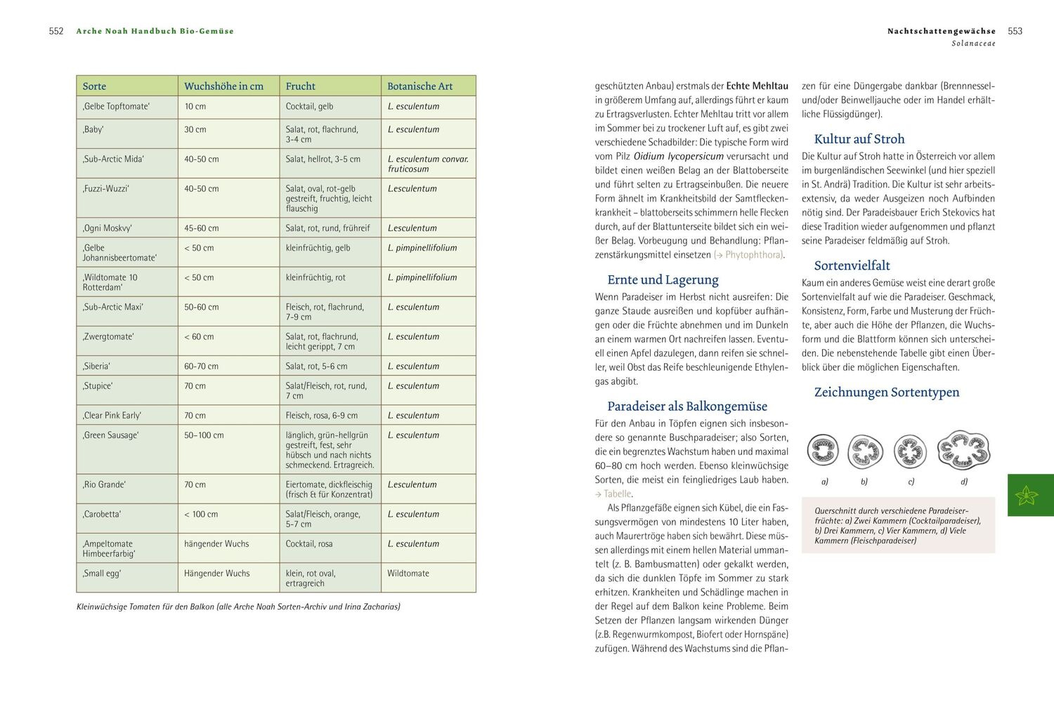 Bild: 9783706624596 | Handbuch Bio-Gemüse | Sortenvielfalt für den eigenen Garten | Buch