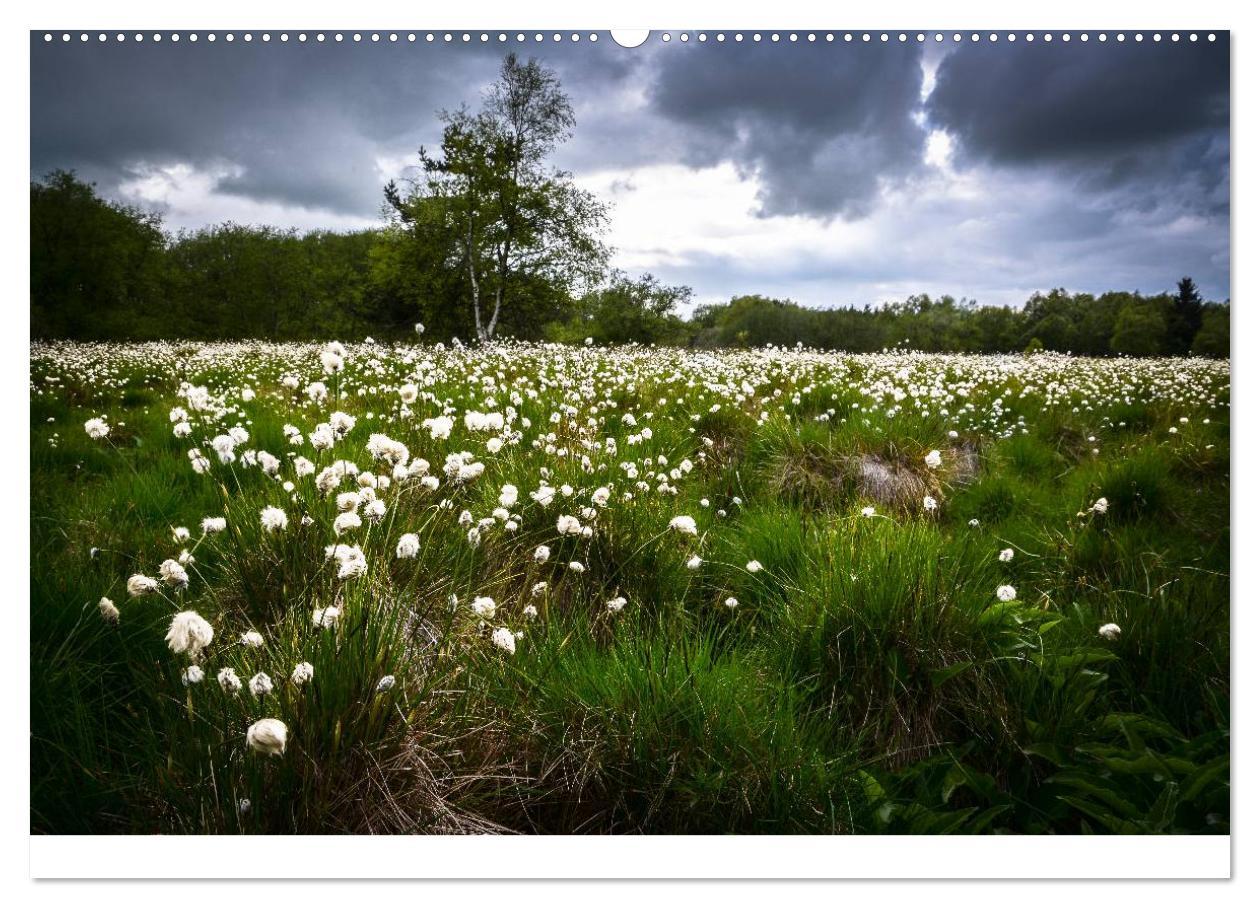 Bild: 9783435499069 | Naturerlebnis im Biosphärenreservat Rhön (Wandkalender 2025 DIN A2...