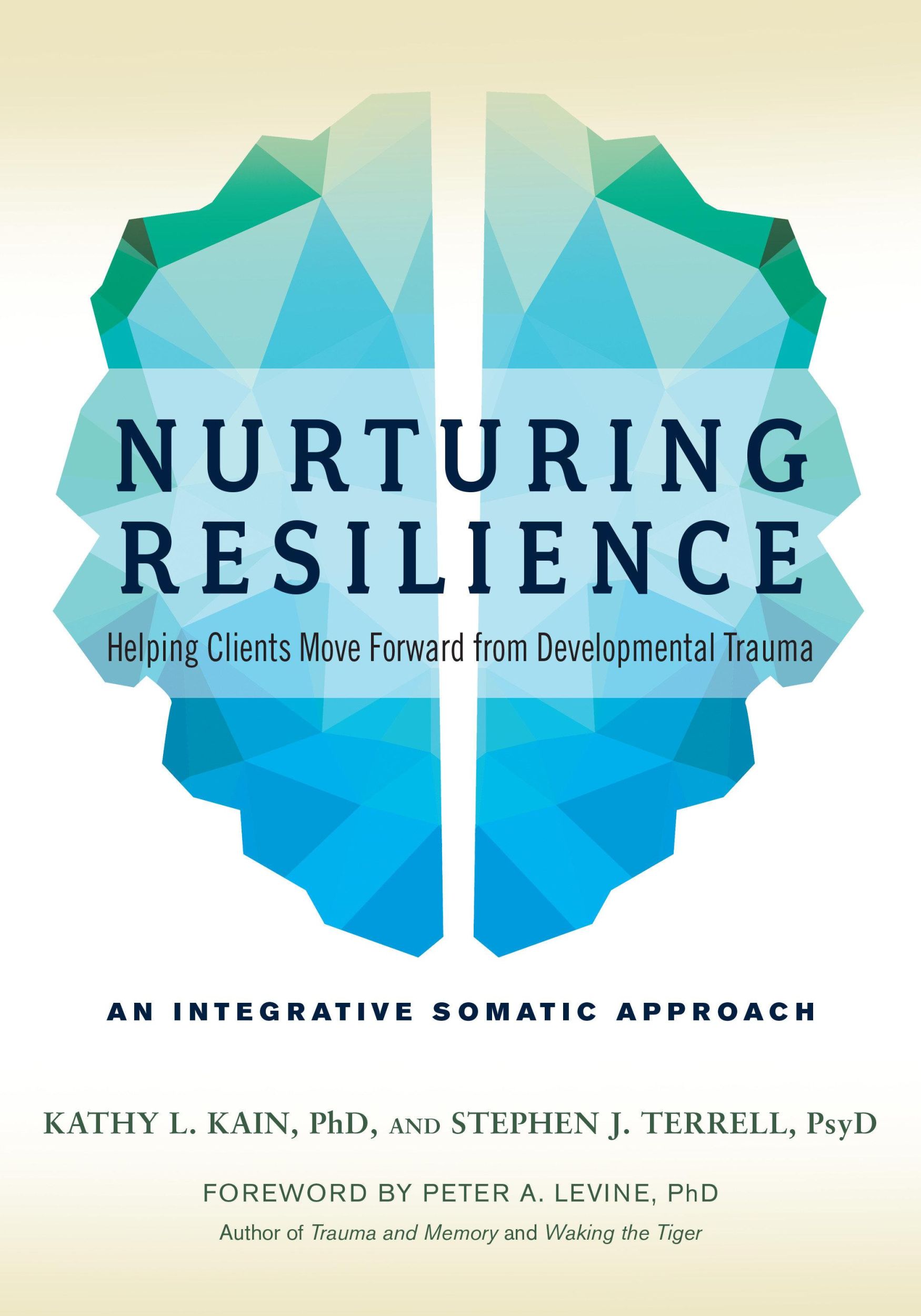 Cover: 9781623172039 | Nurturing Resilience | Kathy L Kain (u. a.) | Taschenbuch | Englisch