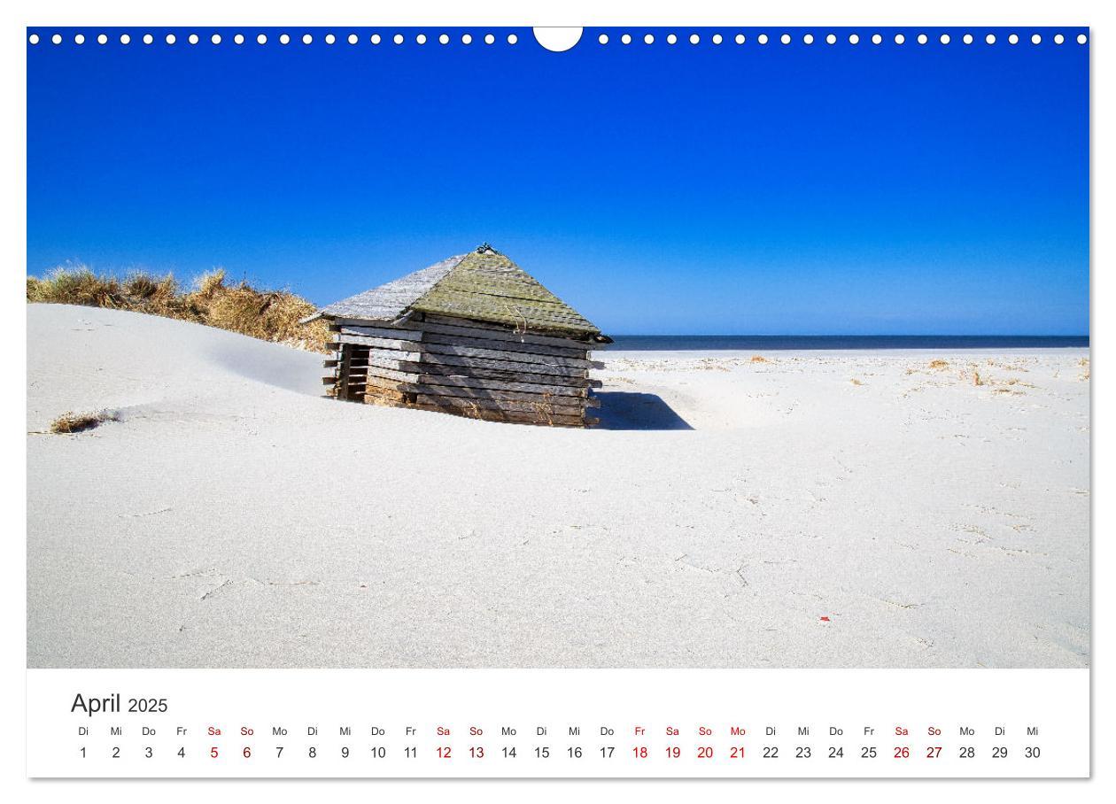 Bild: 9783435016471 | Amrum - Perle der Nordsee (Wandkalender 2025 DIN A3 quer), CALVENDO...