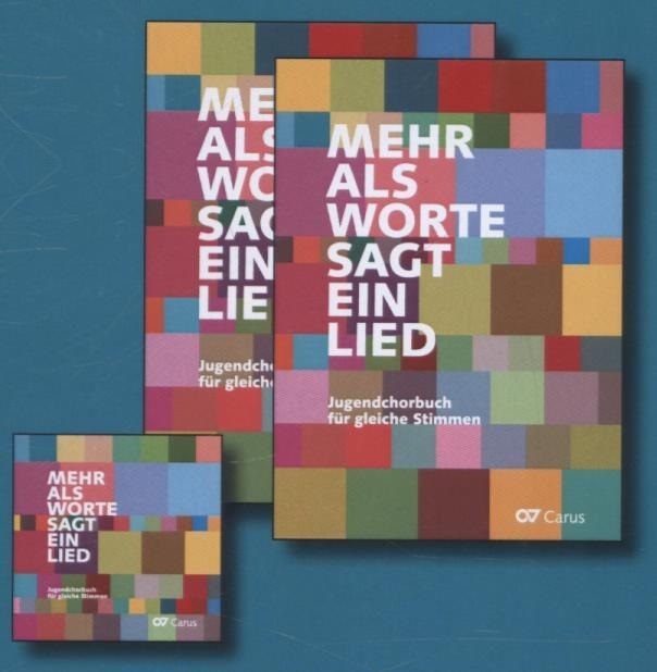 Cover: 9783899482287 | Mehr als Worte sagt ein Lied | Gabriele Sichler-Karle (u. a.) | 2015
