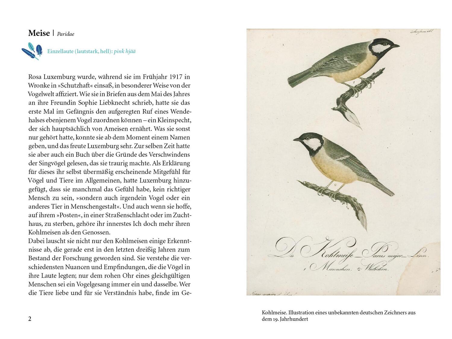 Bild: 9783411710546 | Vögel | Vom Singen, Balzen und Fliegen | Cord Riechelmann | Buch