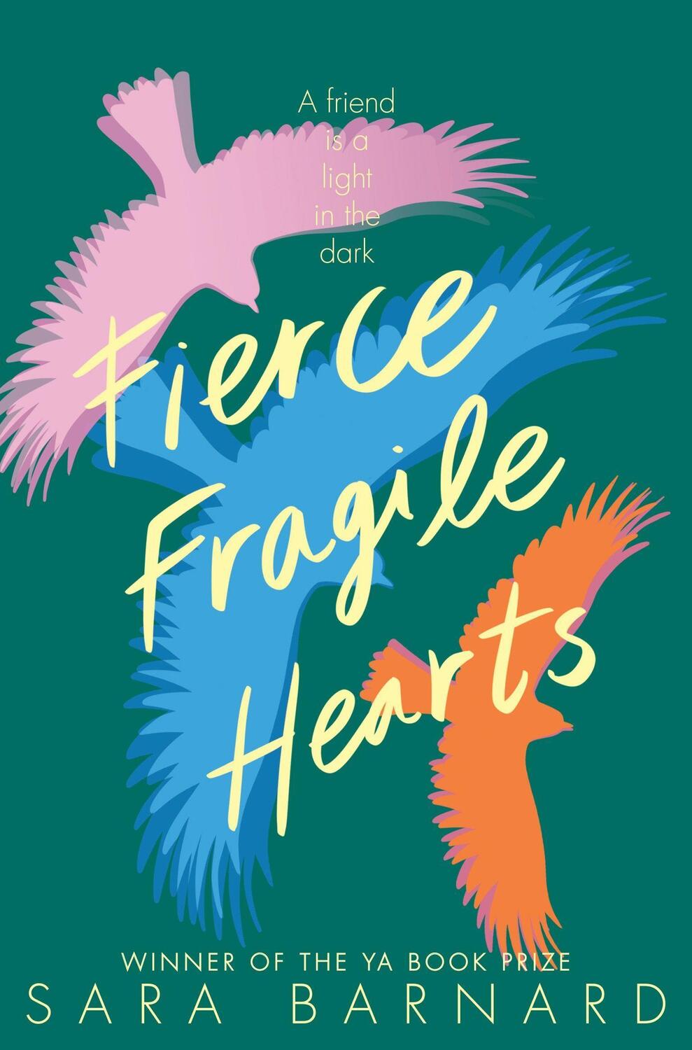 Cover: 9781529037616 | Fierce Fragile Hearts | Sara Barnard | Taschenbuch | Englisch | 2021