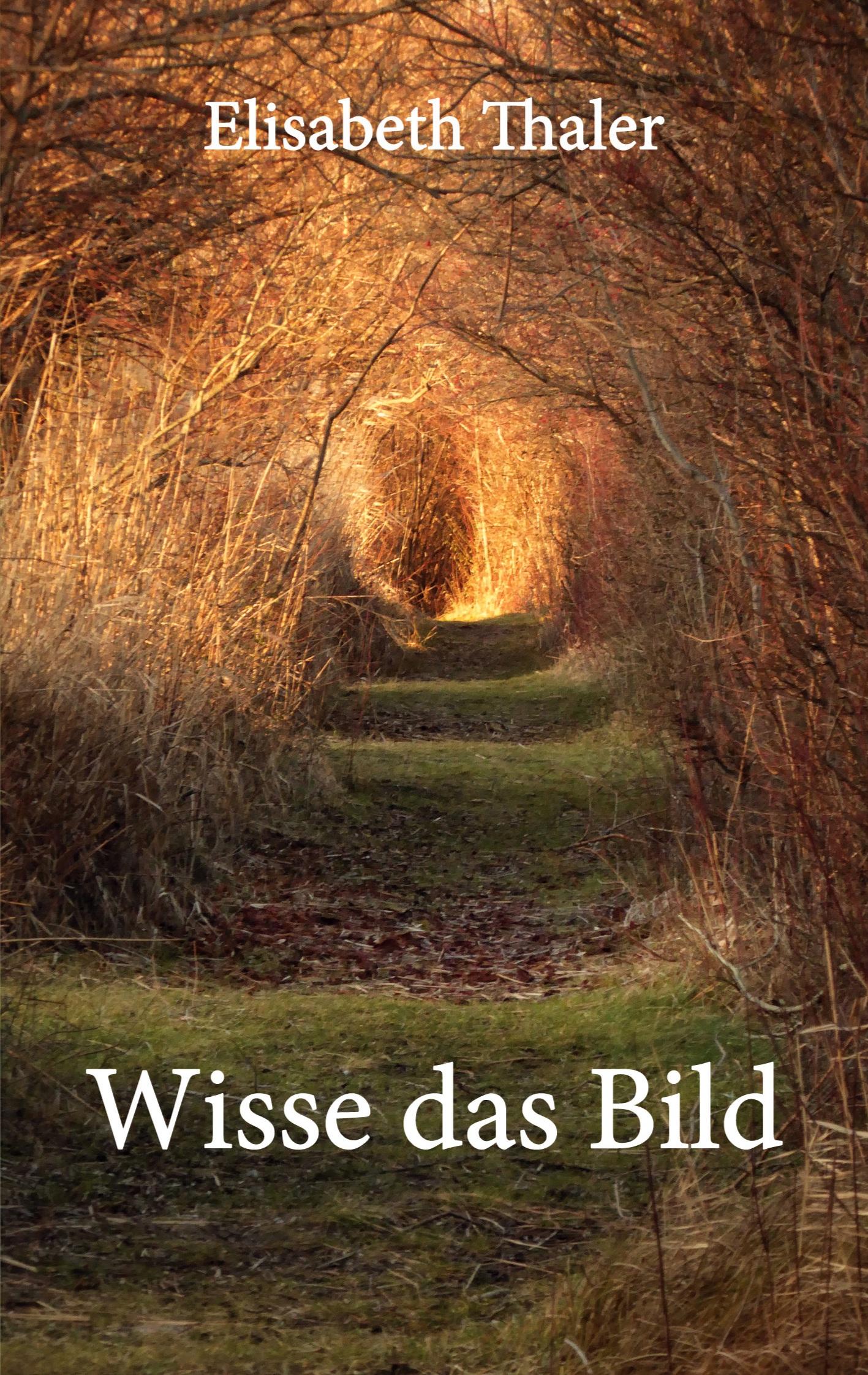 Cover: 9783769309751 | Wisse das Bild | Elisabeth Thaler | Taschenbuch | Paperback | 66 S.