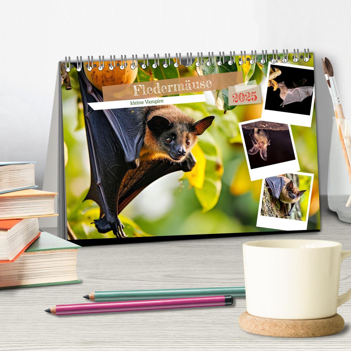 Bild: 9783457184240 | Fledermäuse - kleine Vampire (Tischkalender 2025 DIN A5 quer),...