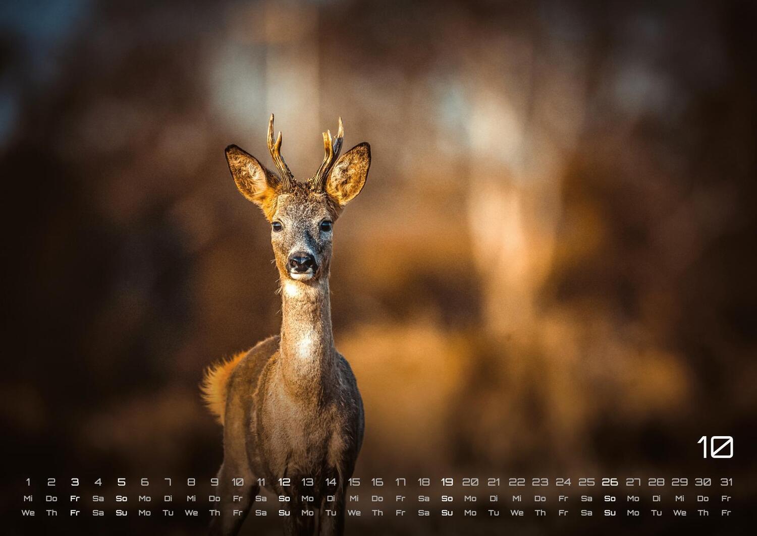 Bild: 9783986734435 | Waldtiere - Heimische Waldbewohner - Der Tierkalender - 2025 -...