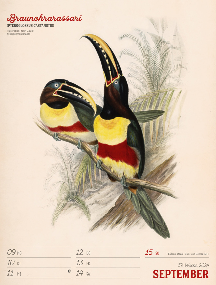 Bild: 9783838434117 | Wunderbare Vogelwelt - Vintage Wochenplaner Kalender 2024 | Kalender