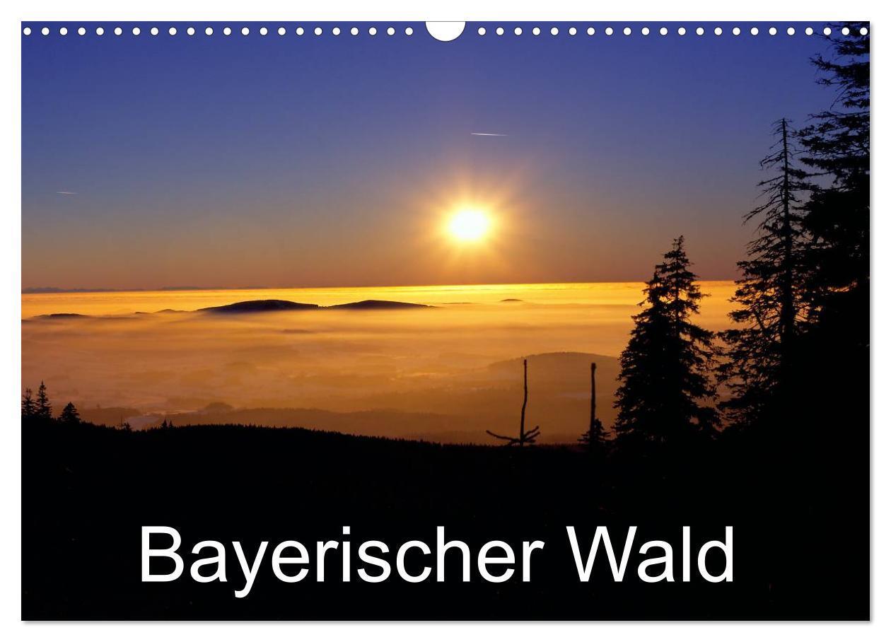 Cover: 9783383513473 | Bayerischer Wald (Wandkalender 2024 DIN A3 quer), CALVENDO...