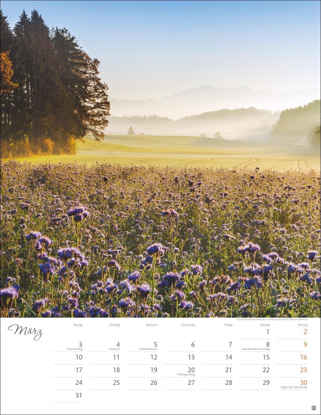 Bild: 9783756405268 | Jenseits der Hast Posterkalender 2025 | Heye | Kalender | 14 S. | 2025