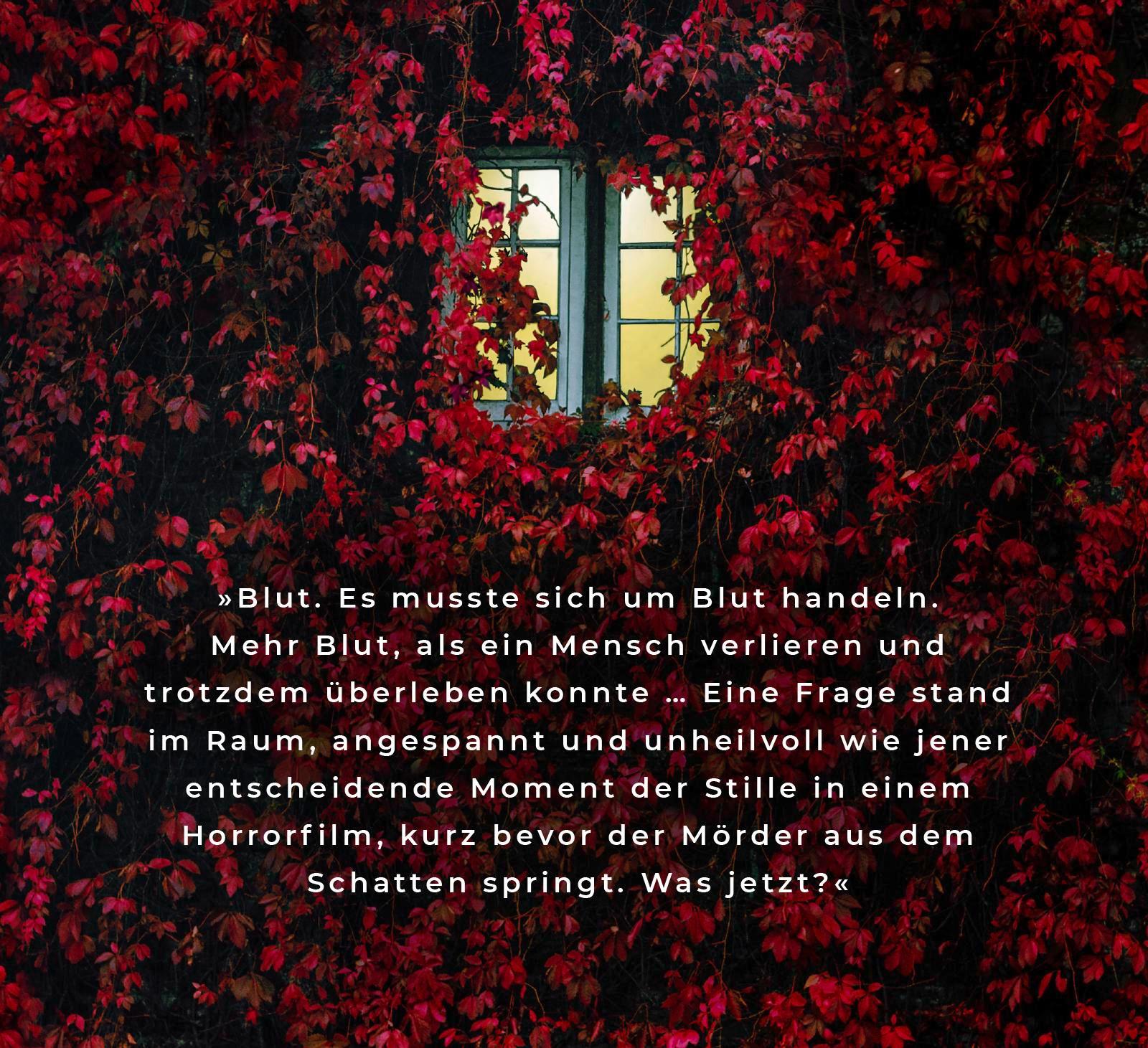 Bild: 9783426282373 | Gib mir deine Angst | Thriller | Leah Konen | Taschenbuch | 384 S.