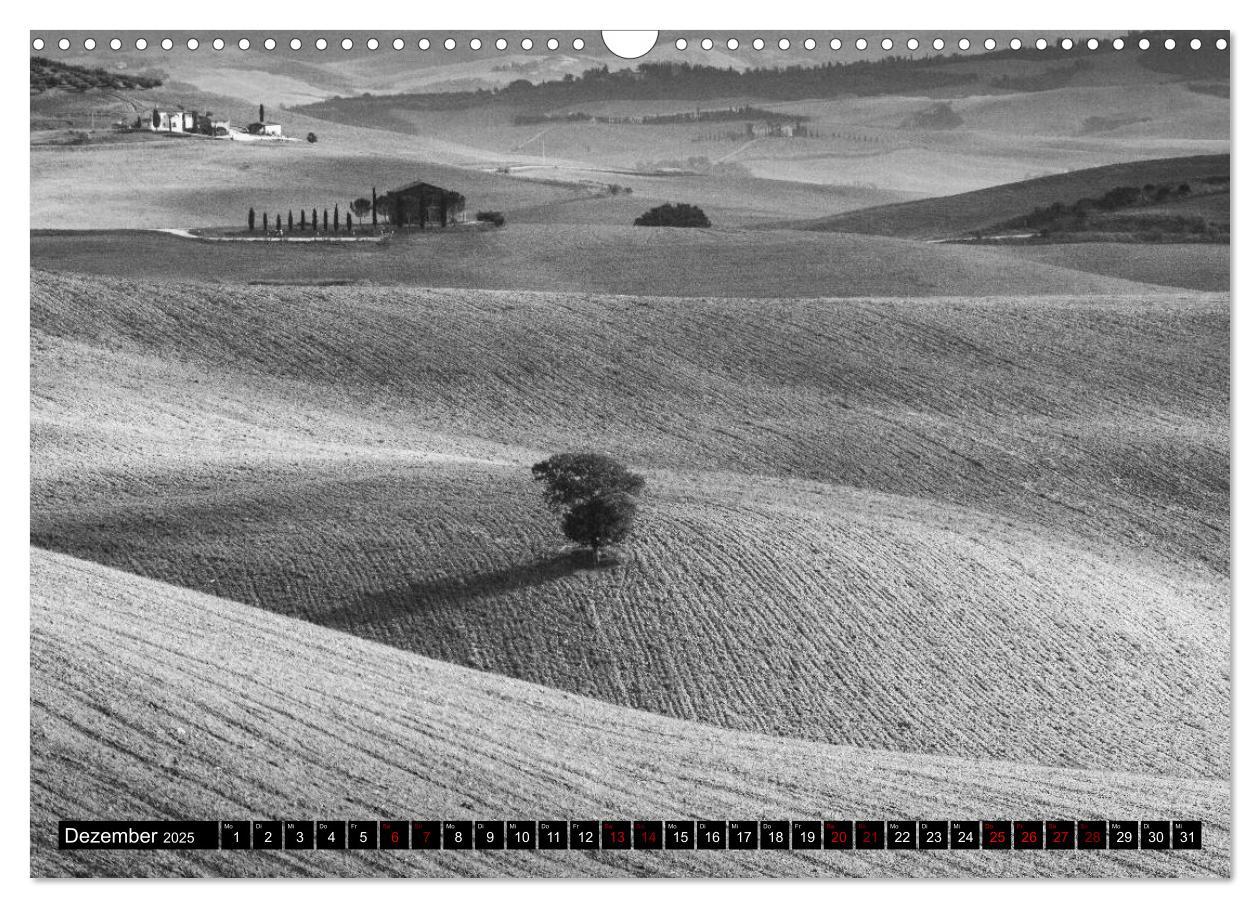 Bild: 9783435393763 | Toscana - monocromatico (Wandkalender 2025 DIN A3 quer), CALVENDO...