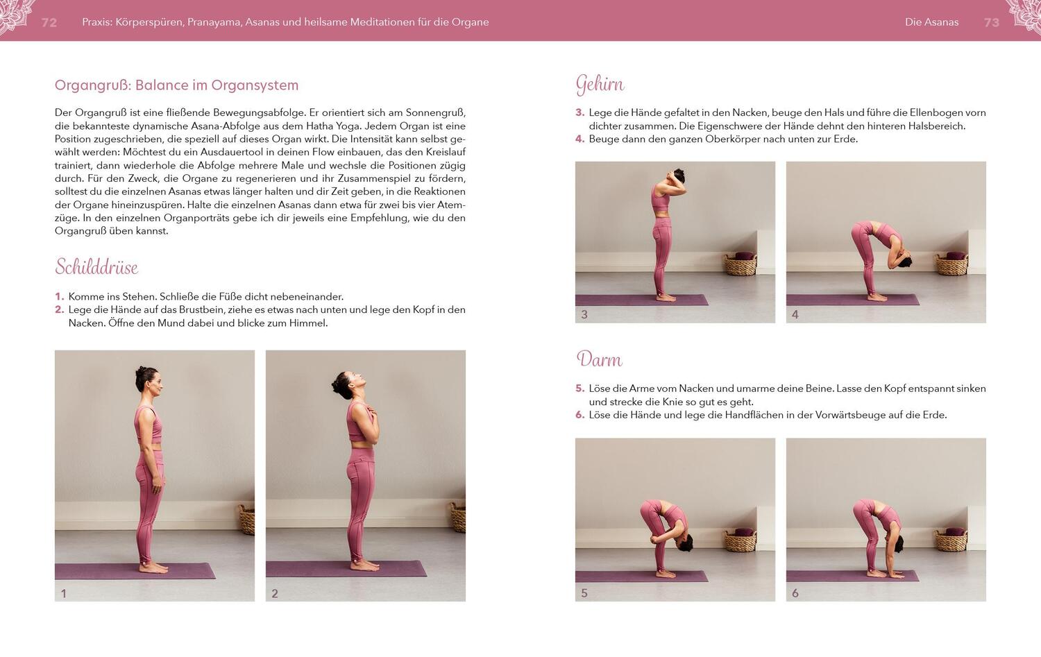 Bild: 9783742321657 | Yoga für die Organe | Friederike Reumann | Taschenbuch | 220 S. | 2022