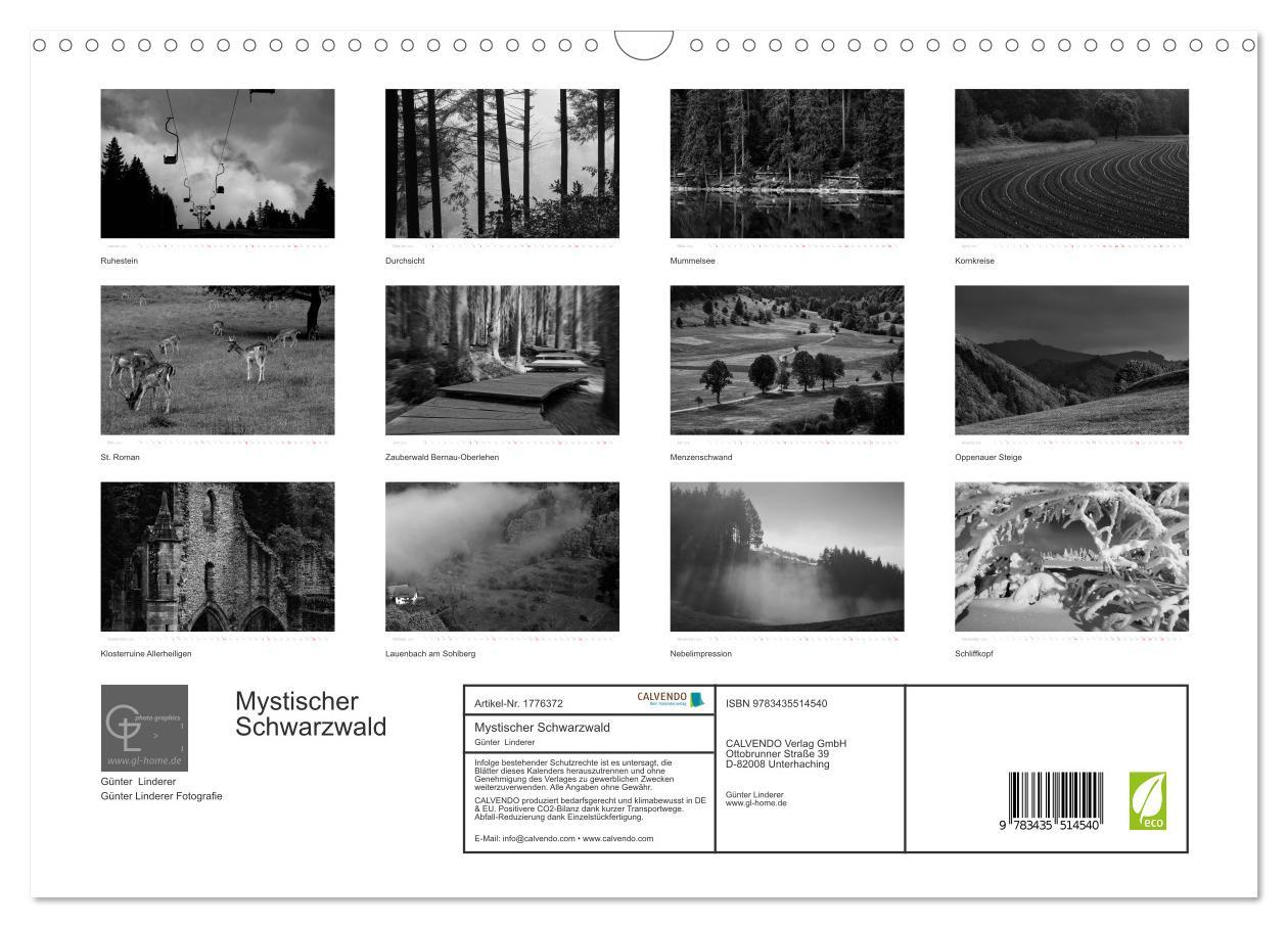 Bild: 9783435514540 | Mystischer Schwarzwald (Wandkalender 2025 DIN A3 quer), CALVENDO...