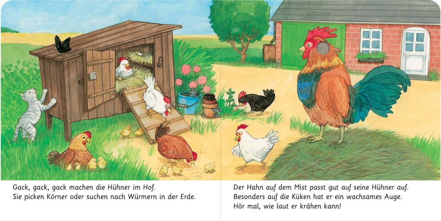 Bild: 9783845842790 | Hör mal, so klingt der Bauernhof | Mit 5 Sounds | Anne Böhm | Buch