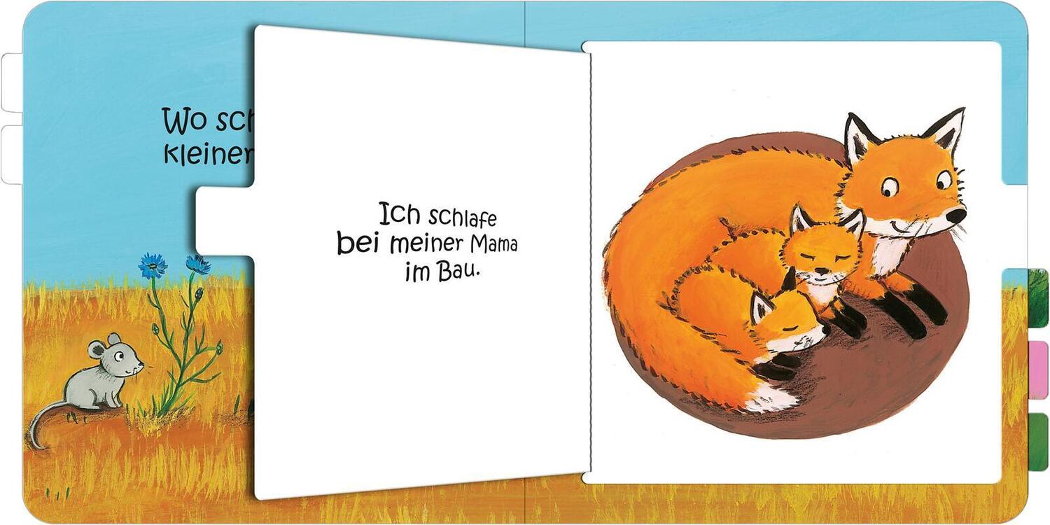 Bild: 9783845857664 | Wo schläfst du, kleine Eule? | Buch | Pappebuch mit Klappen | 14 S.