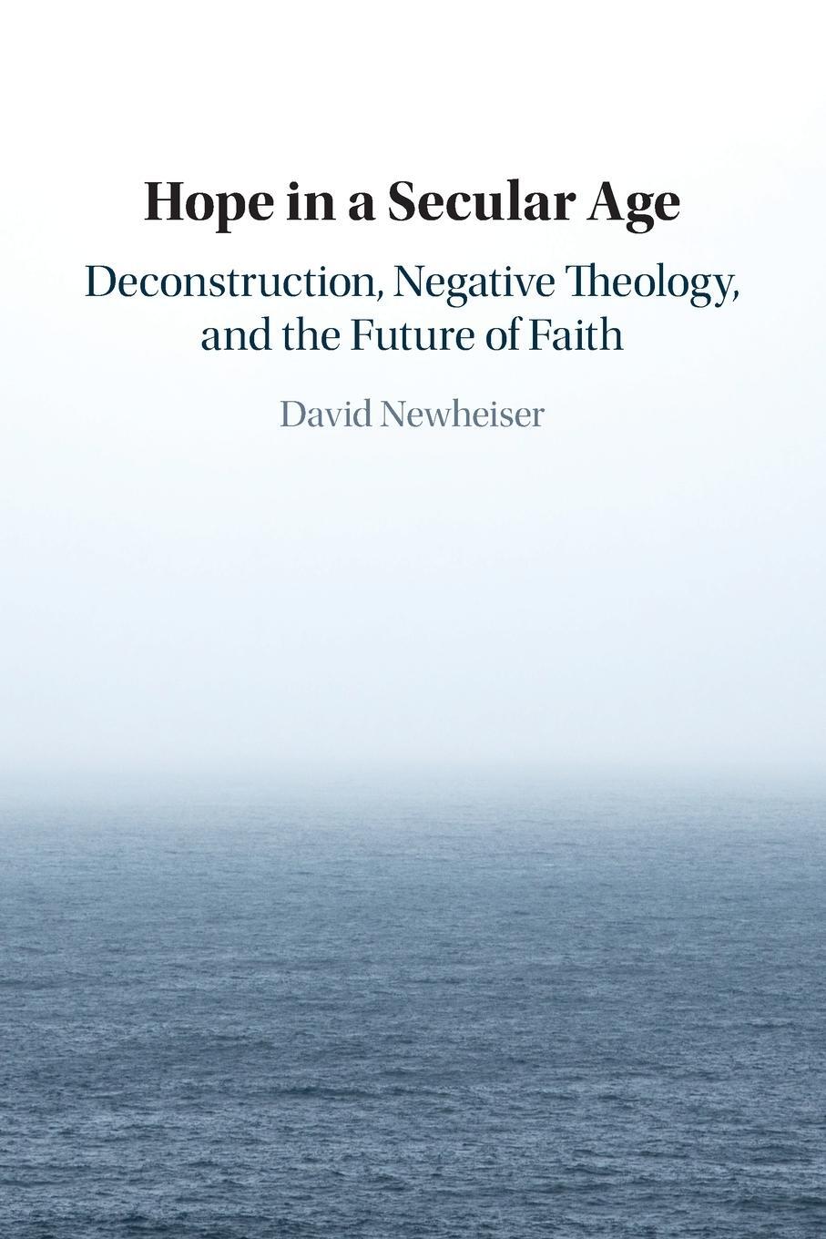 Cover: 9781108724395 | Hope in a Secular Age | David Newheiser | Taschenbuch | Paperback