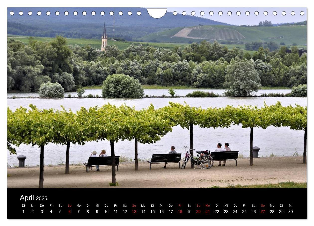 Bild: 9783435753321 | Ingelheim und Umgebung (Wandkalender 2025 DIN A4 quer), CALVENDO...