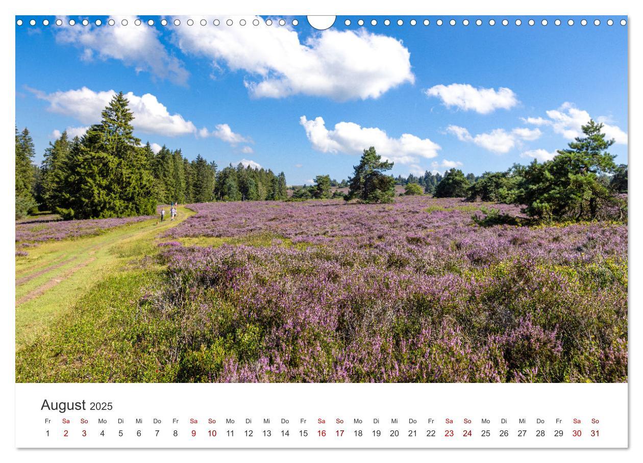 Bild: 9783457235461 | Sauerland - hier muss man mal gewesen sein (Wandkalender 2025 DIN...