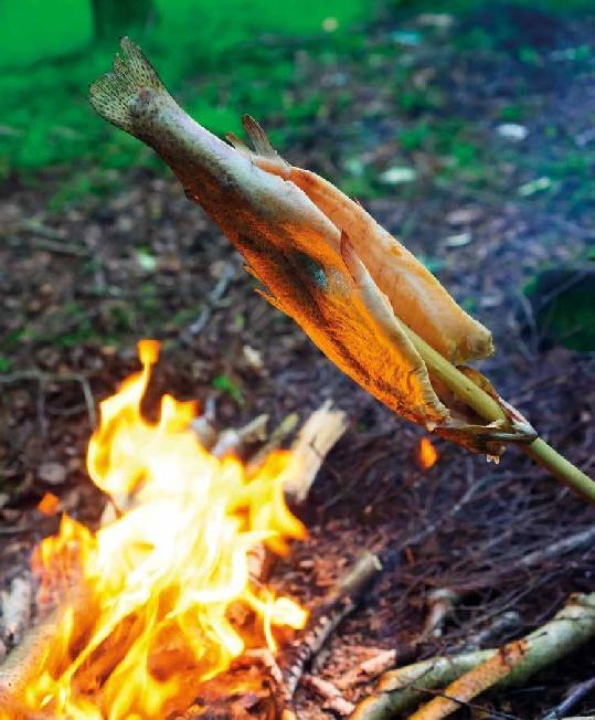 Bild: 9783966641760 | Koch draußen! Über 100 Rezepte für jedes Wetter | Ray Mears | Buch