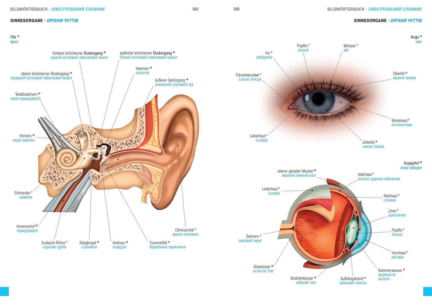 Bild: 9783898947688 | Wörterbuch Medizin Deutsch-Ukrainisch, Ukrainisch-Deutsch mit...