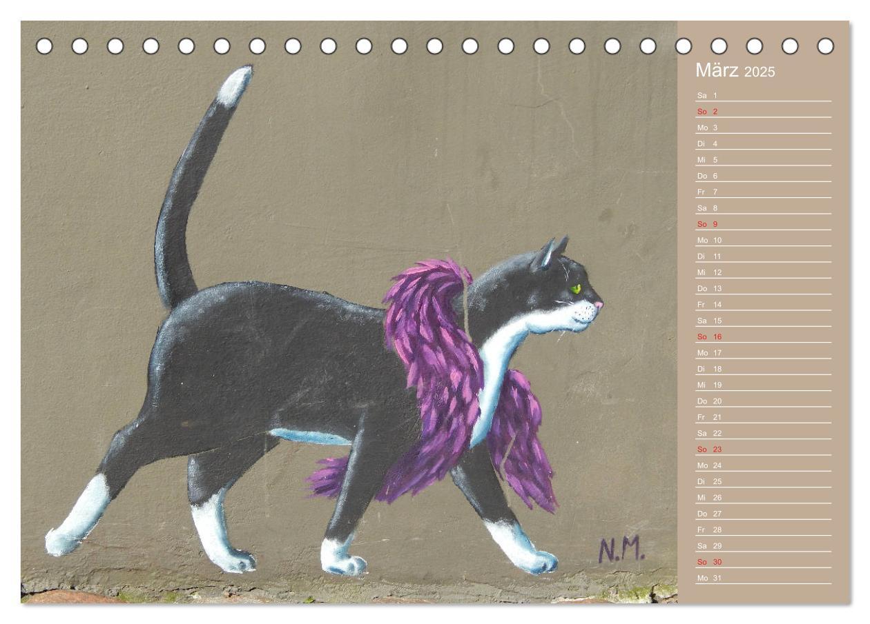 Bild: 9783435289288 | Flensburger Katzen (Tischkalender 2025 DIN A5 quer), CALVENDO...