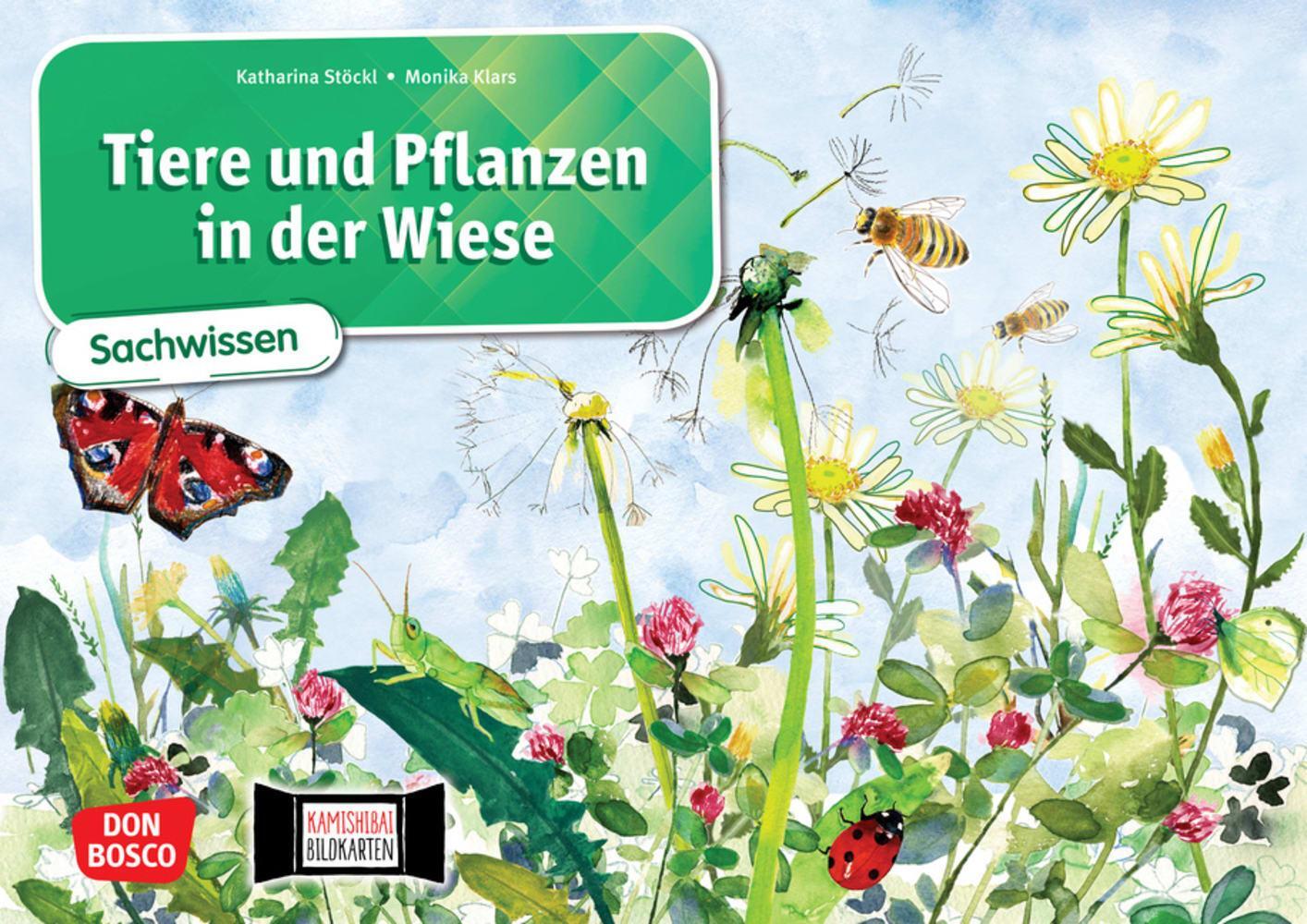 Cover: 4260179516351 | Tiere und Pflanzen in der Wiese. Kamishibai Bildkartenset. | Box
