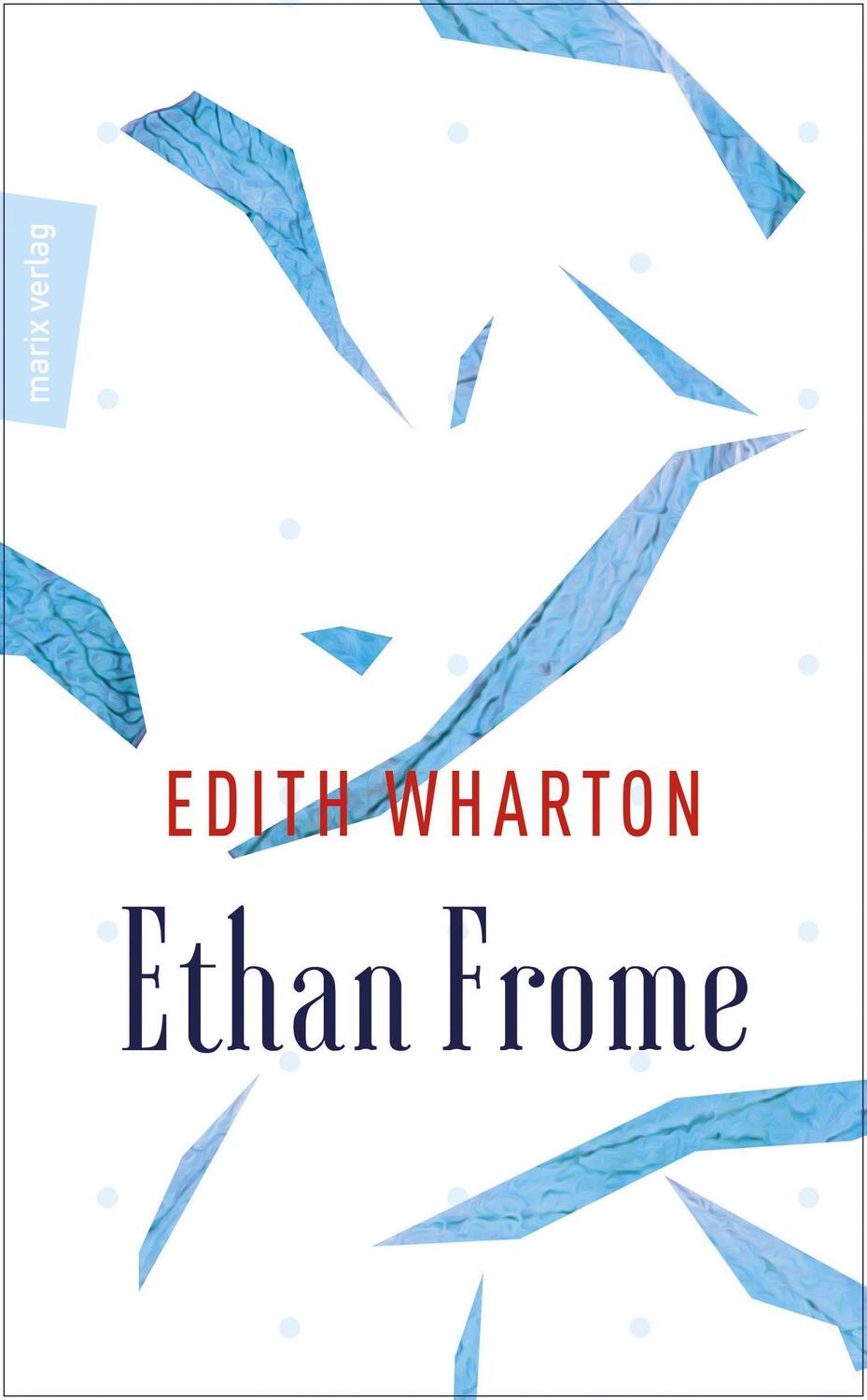 Cover: 9783737410595 | Ethan Frome | Und ein Himmel aus Eis | Edith Wharton | Buch | Deutsch