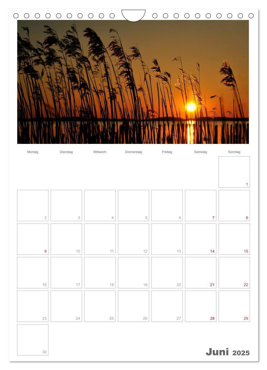 Bild: 9783457088340 | Insel Rügen / Planer (Wandkalender 2025 DIN A4 hoch), CALVENDO...