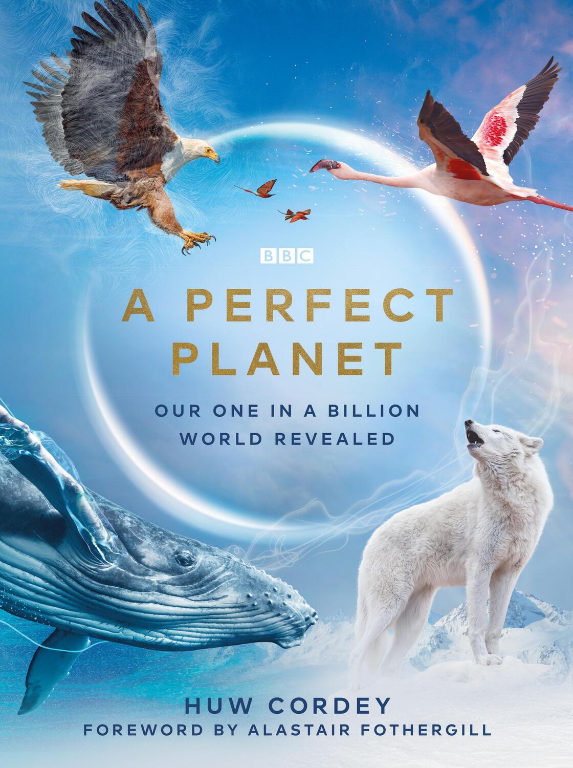 Cover: 9781785945298 | A Perfect Planet | Huw Cordey | Buch | Englisch | 2020