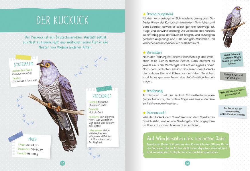 Bild: 9783741524646 | Mein Naturführer - Vögel | Beobachten · verstehen · schützen | Luchesi