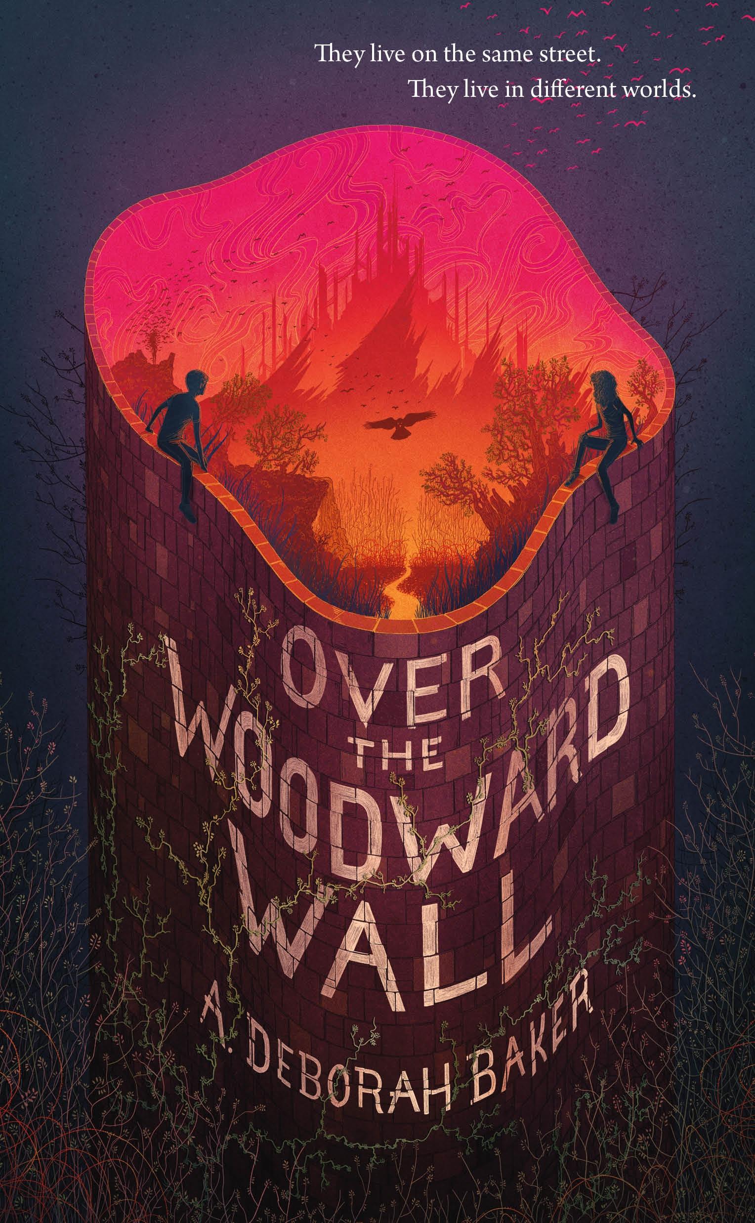 Cover: 9780765399274 | Over the Woodward Wall | A. Deborah Baker | Buch | Gebunden | Englisch