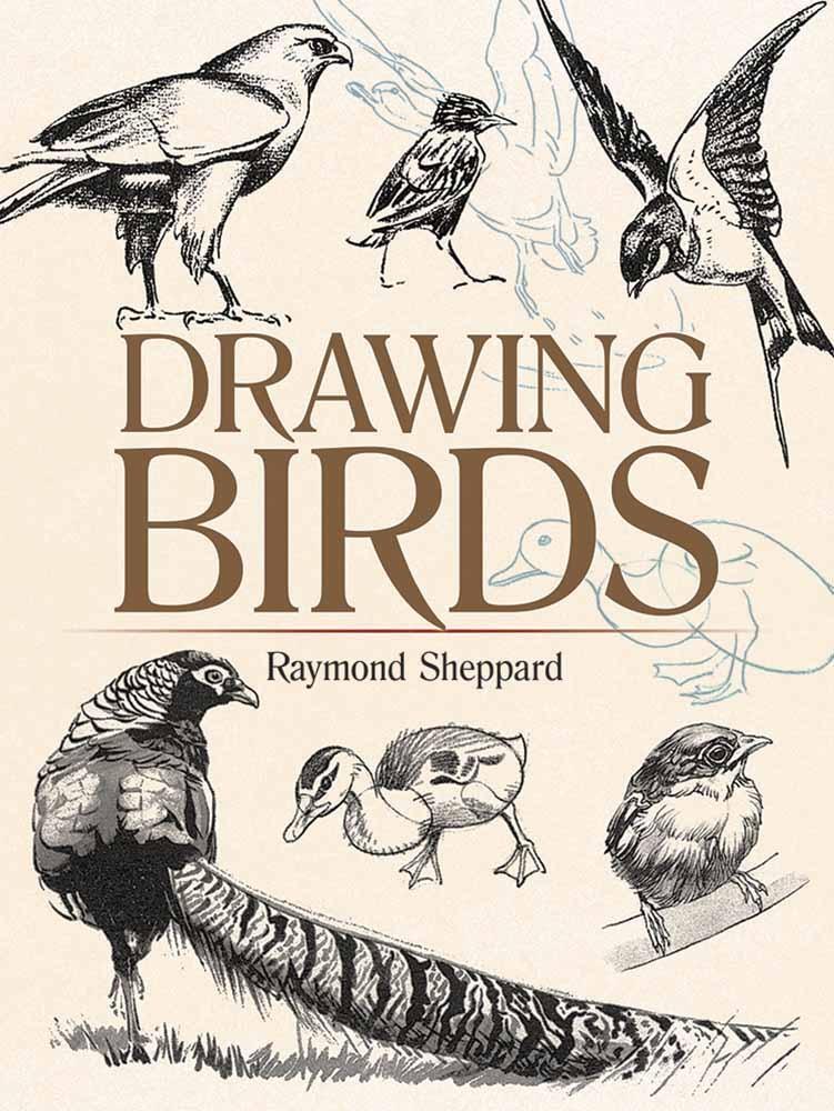 Cover: 9780486820323 | Drawing Birds | Raymond Sheppard | Taschenbuch | Englisch | 2018