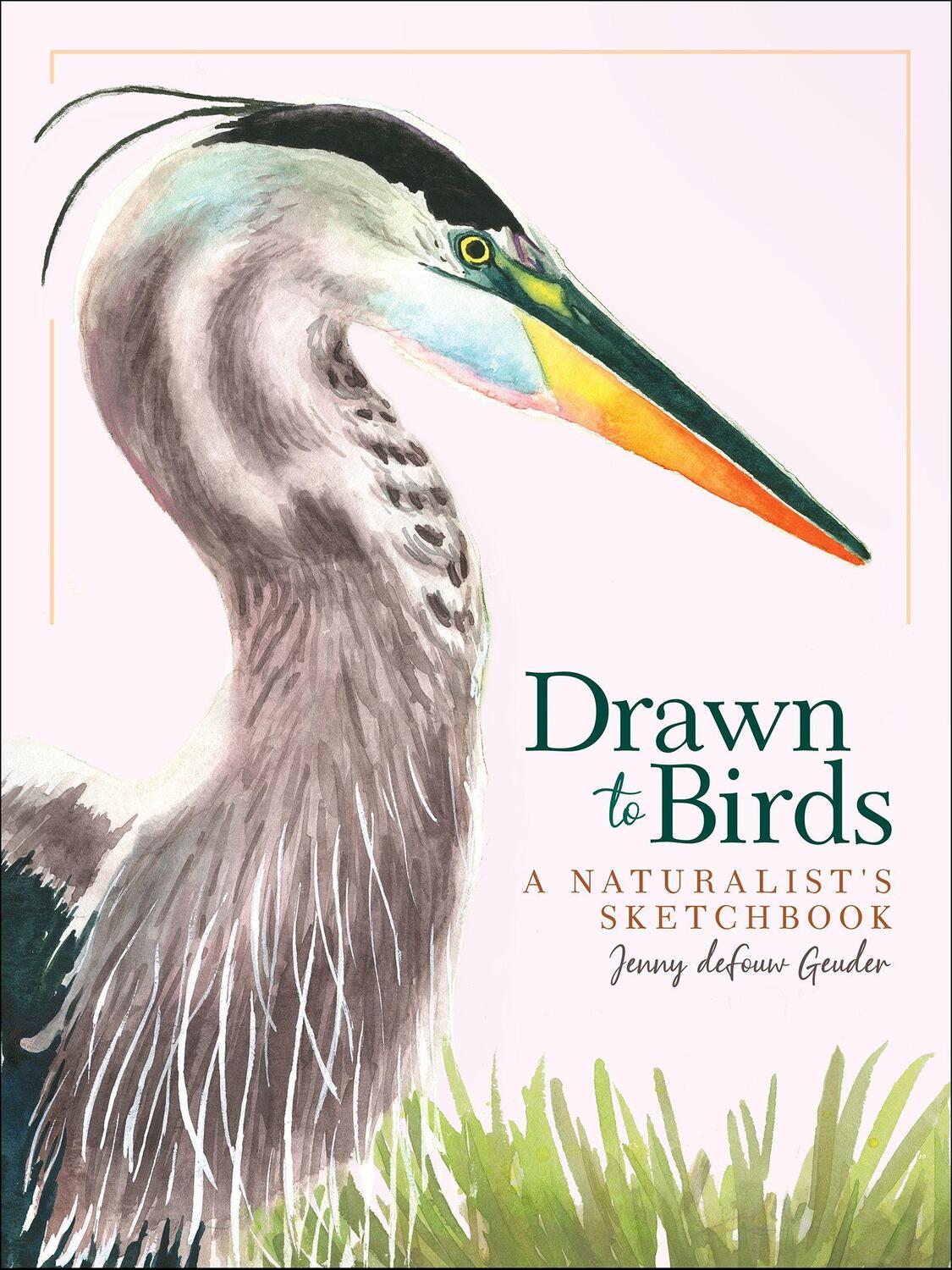 Cover: 9781647552251 | Drawn to Birds: A Naturalist's Sketchbook | Jenny Defouw Geuder | Buch