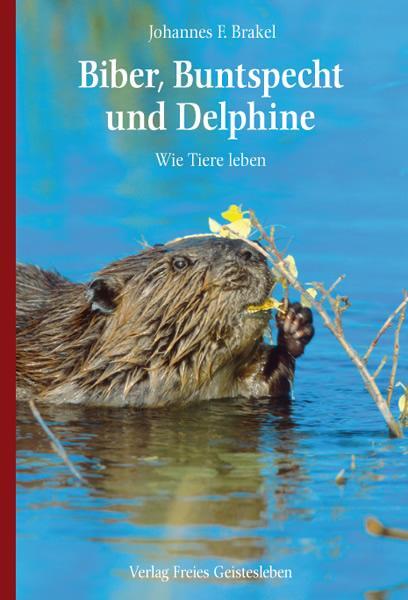 Cover: 9783772522826 | Biber, Buntspecht und Delphine | Wie Tiere leben | Johannes F. Brakel