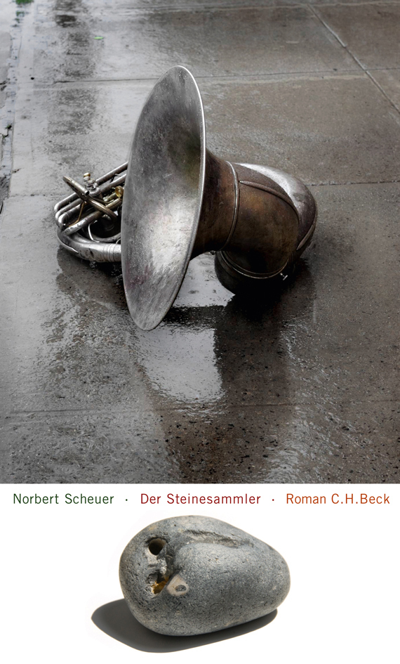 Der Steinesammler - Scheuer, Norbert