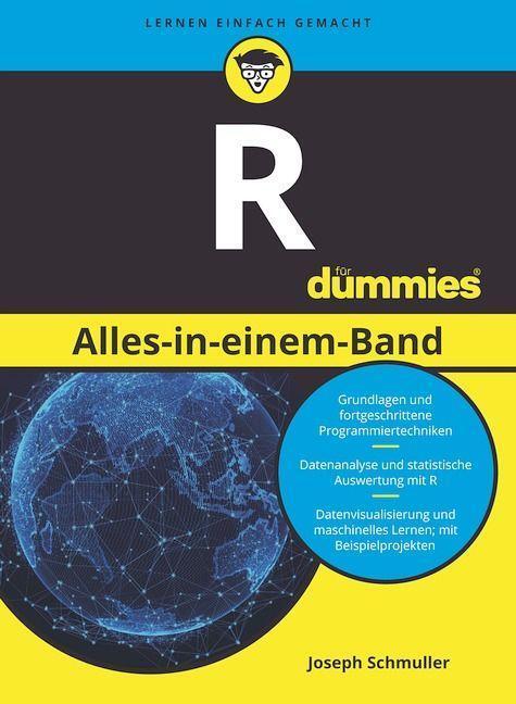Cover: 9783527721290 | R Alles-in-einem-Band für Dummies | Joseph Schmuller | Taschenbuch