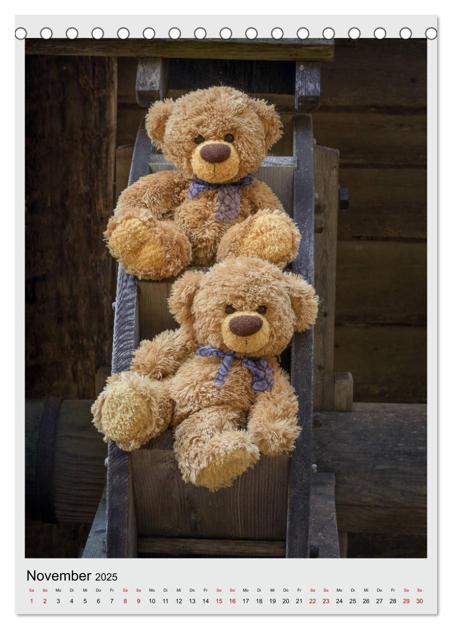 Bild: 9783435984534 | Travelling Teddy in Europa (Tischkalender 2025 DIN A5 hoch),...