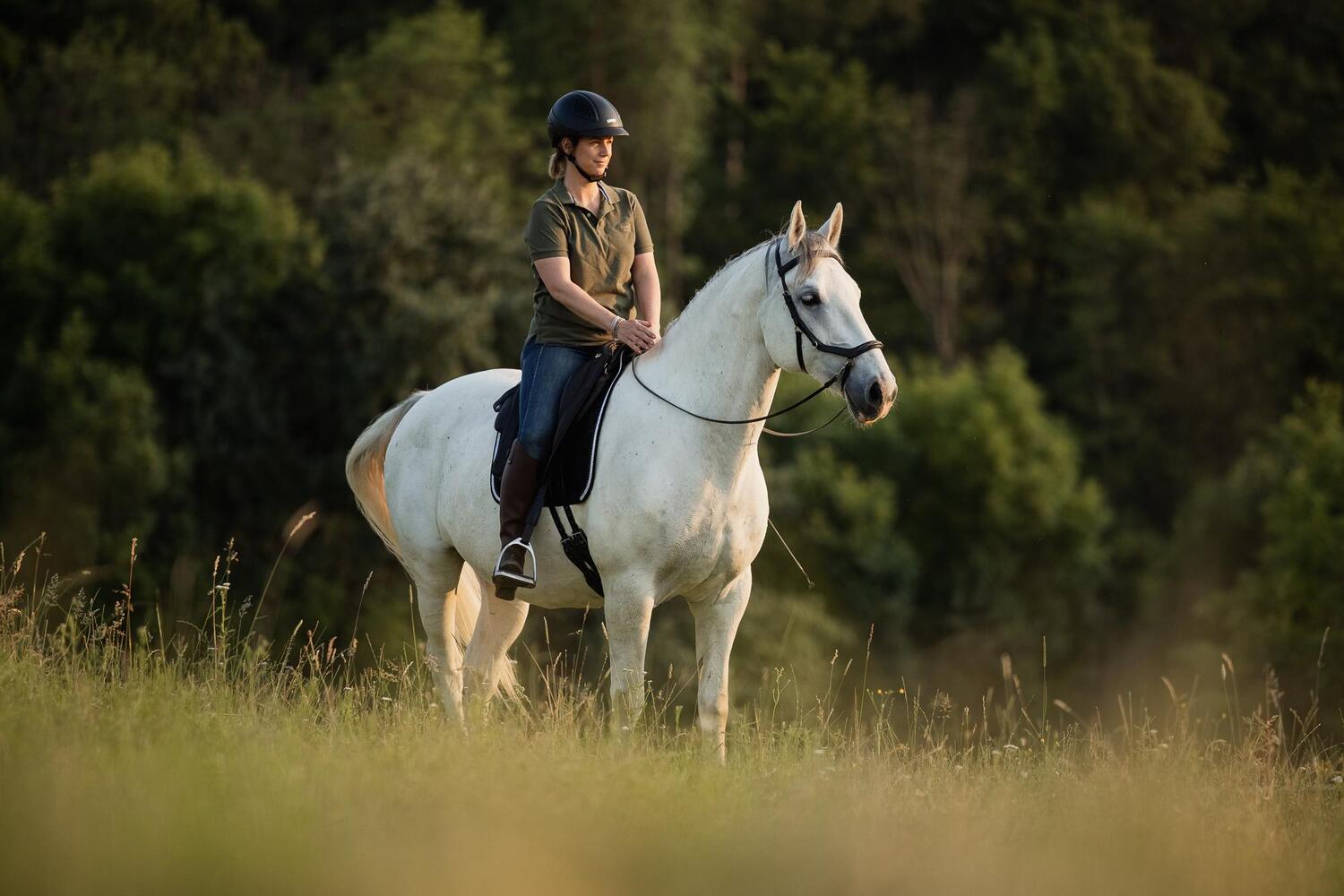 Bild: 9783275023011 | Einfach (An)Reiten | Anreiten und Training selbst in die Hand nehmen