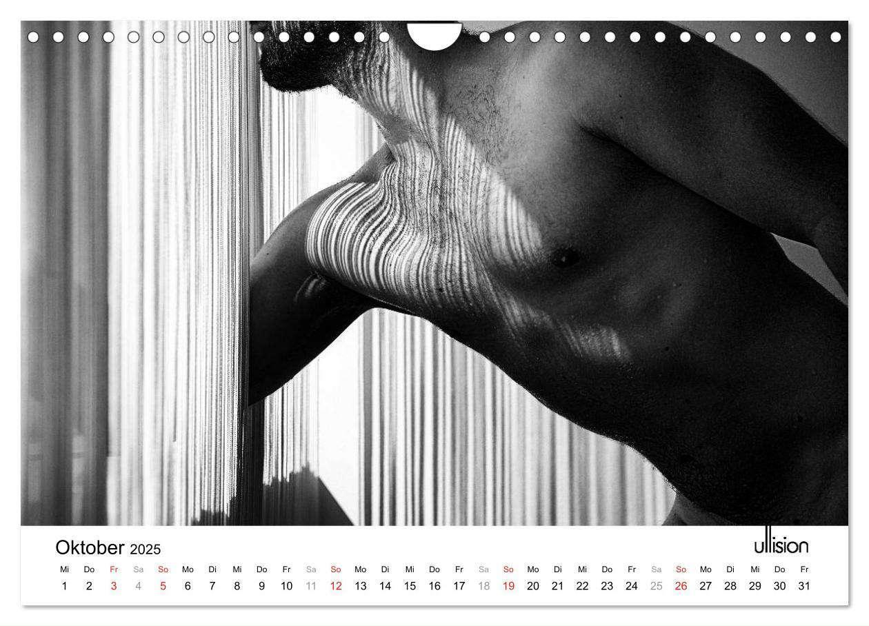 Bild: 9783435566112 | Männer AKT Art (Wandkalender 2025 DIN A4 quer), CALVENDO...