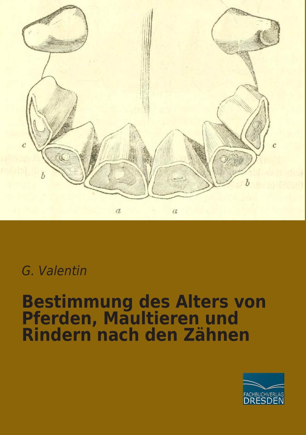 Cover: 9783956924705 | Bestimmung des Alters von Pferden, Maultieren und Rindern nach den...