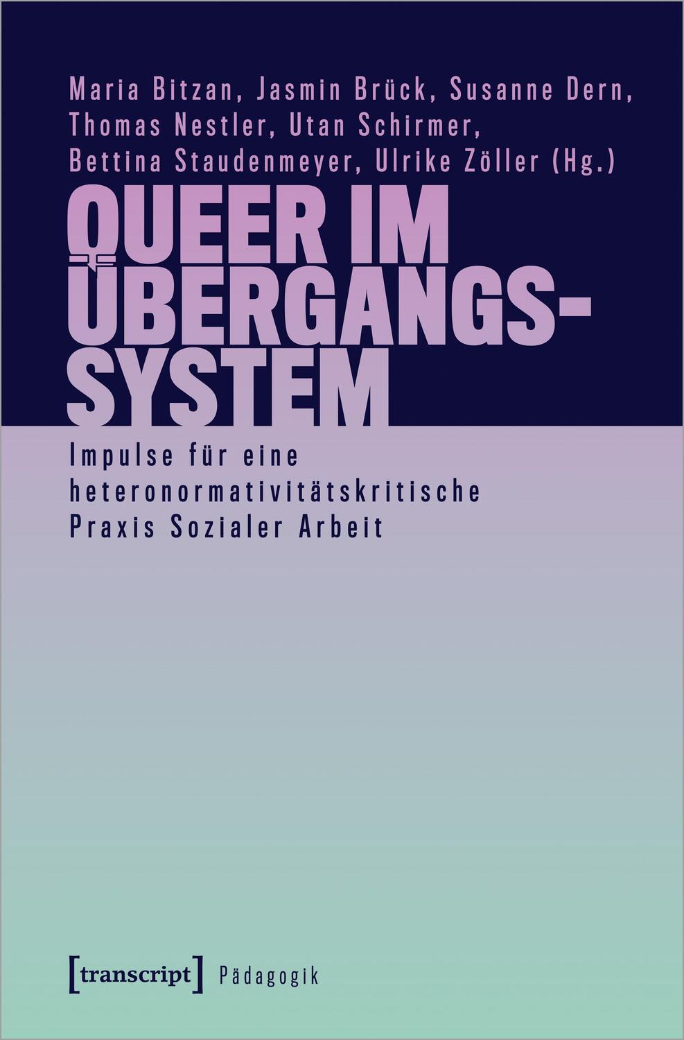 Cover: 9783837661163 | Queer im Übergangssystem | Maria Bitzan (u. a.) | Taschenbuch | 2022