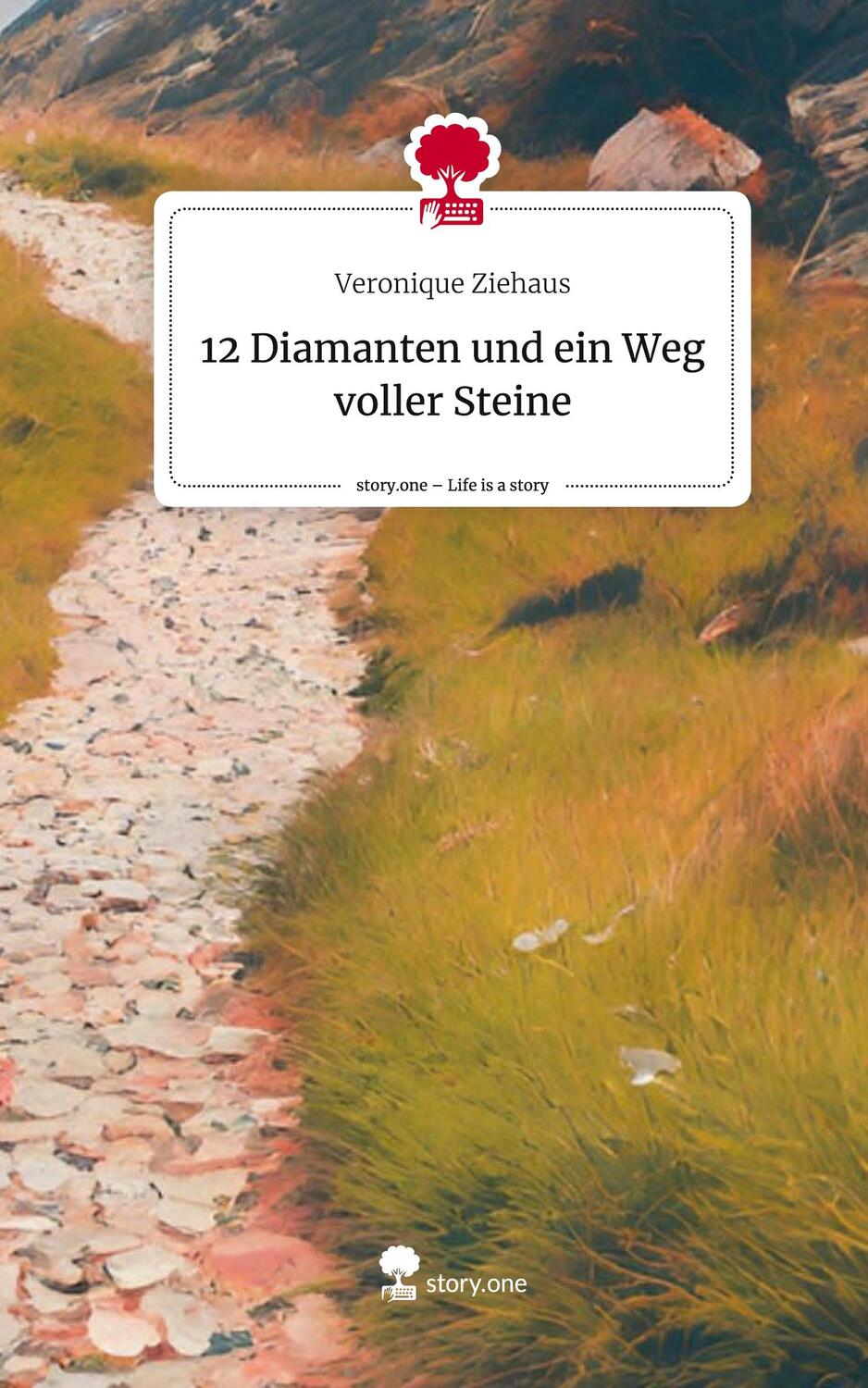 Cover: 9783711556554 | 12 Diamanten und ein Weg voller Steine. Life is a Story - story.one