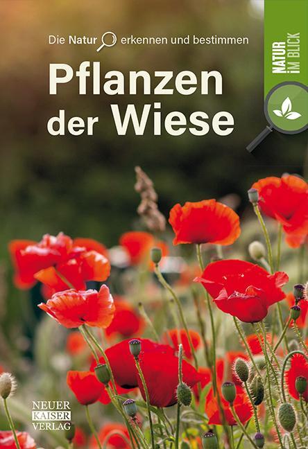 Cover: 9783846805077 | Pflanzen der Wiese | Die Natur erkennen und bestimmen - Natur im Blick