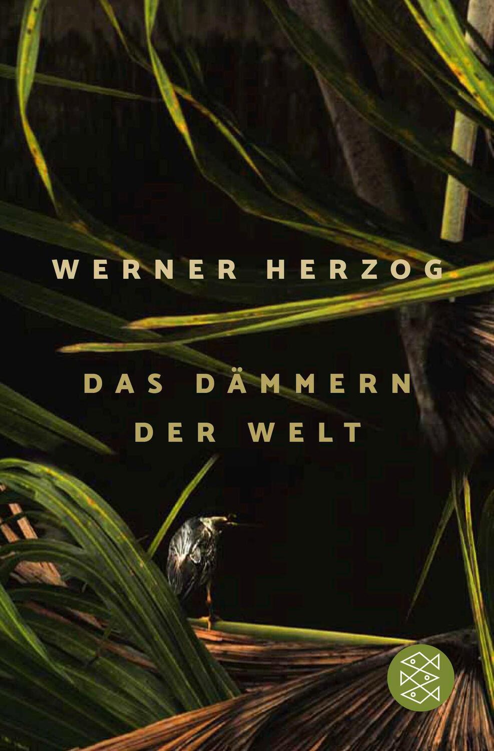 Cover: 9783596707515 | Das Dämmern der Welt | Werner Herzog | Taschenbuch | 128 S. | Deutsch