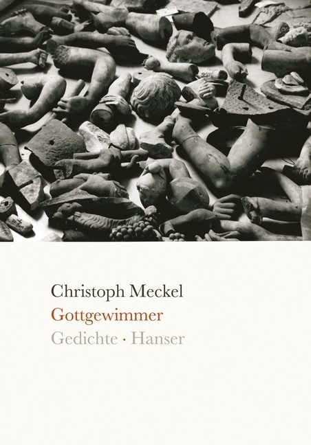 Cover: 9783446235618 | Gottgewimmer | Gedichte | Christoph Meckel | Buch | 80 S. | Deutsch